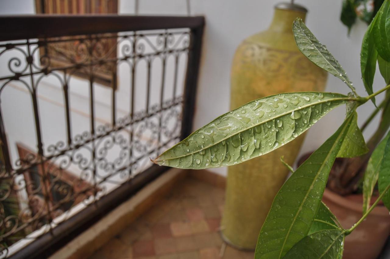 Riad Mandalay Marakeş Dış mekan fotoğraf